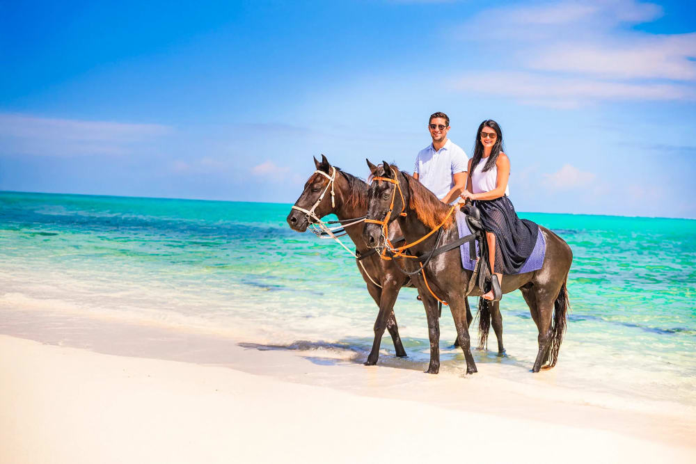 Private Horseback Ride and Swim