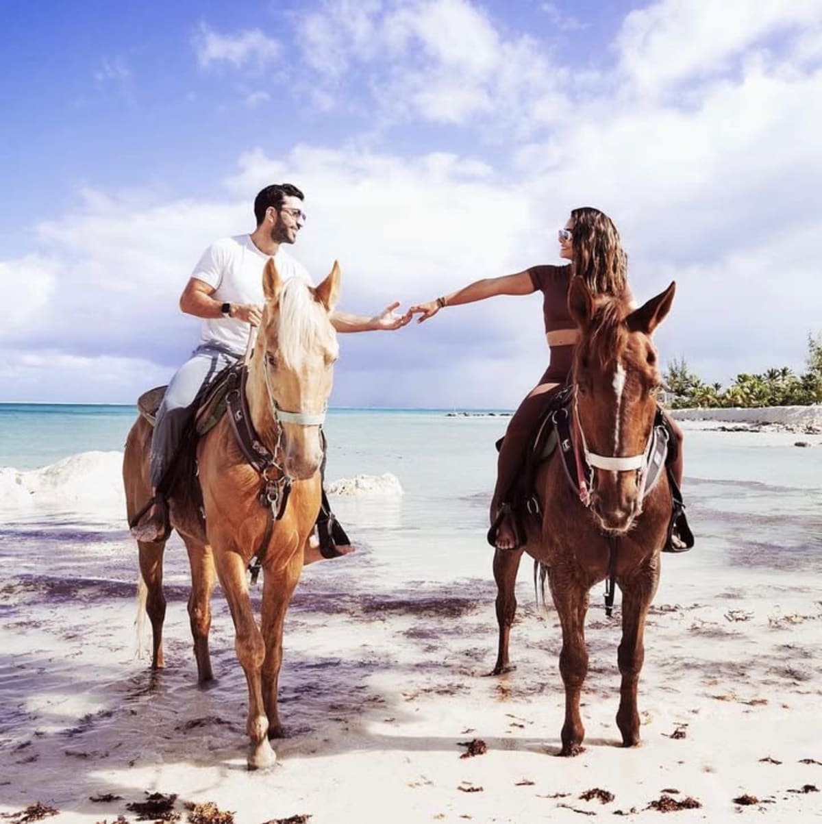 Horseback in Blue Hills