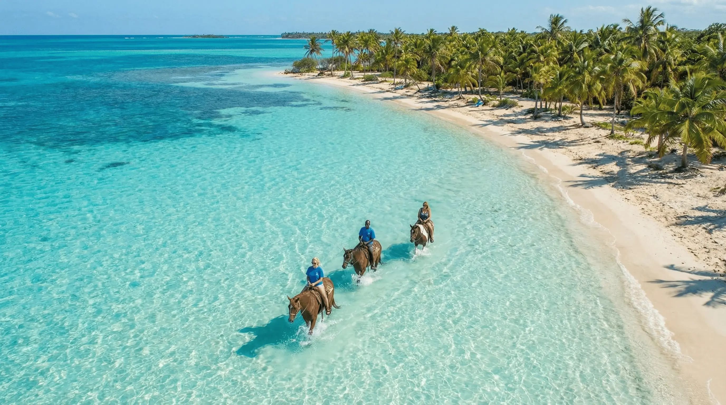 Beginner Friendly Horseback Ride & Swim Tour, photo 2