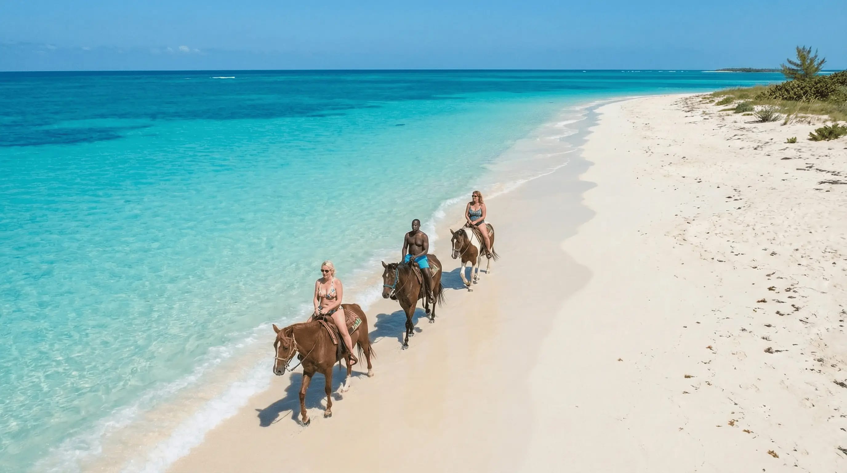 Private Horseback Ride & Swim, photo 2