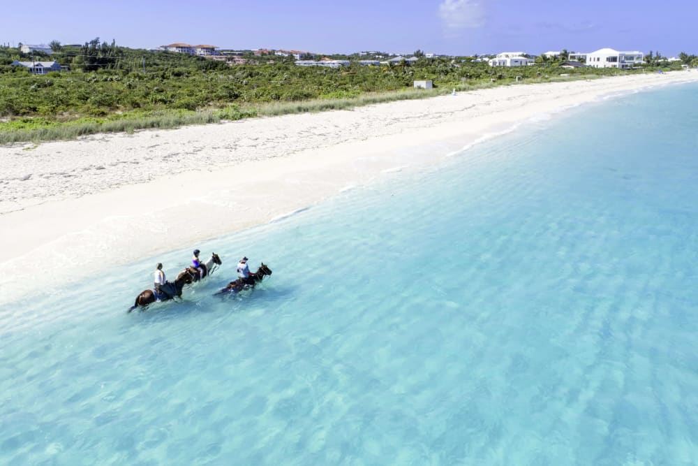 Beginner Friendly Horseback Ride and Swim